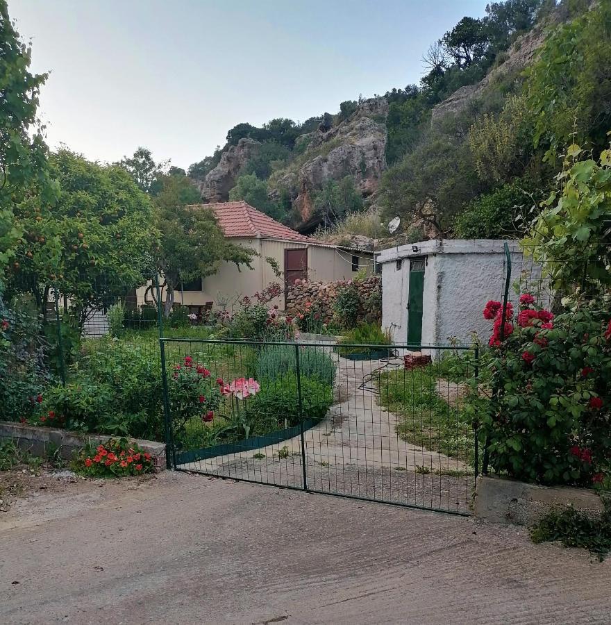 莫奈姆瓦夏House Of Monachogios, Agios Fokas, Monemvassia公寓 外观 照片