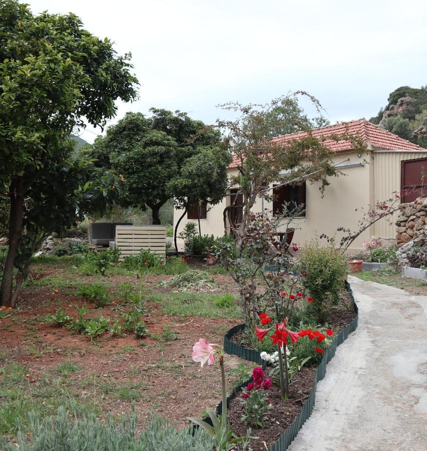 莫奈姆瓦夏House Of Monachogios, Agios Fokas, Monemvassia公寓 外观 照片