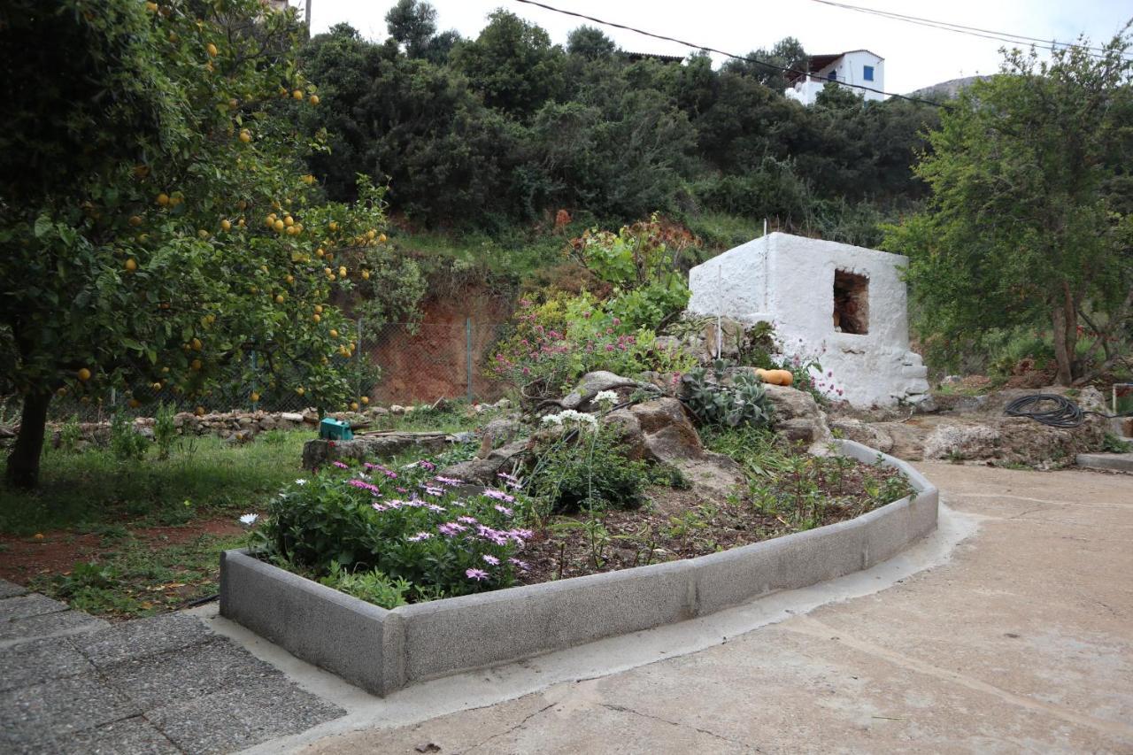 莫奈姆瓦夏House Of Monachogios, Agios Fokas, Monemvassia公寓 外观 照片