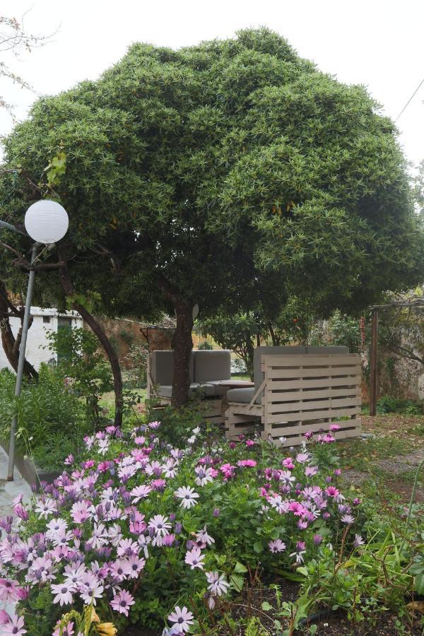 莫奈姆瓦夏House Of Monachogios, Agios Fokas, Monemvassia公寓 外观 照片